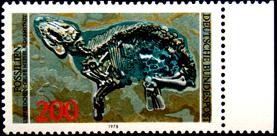  1978  . Propalaeotherium    .  2,5 .